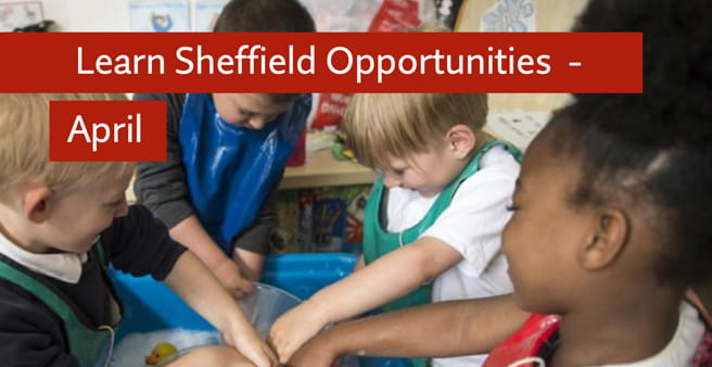 Learn Sheffield Opportunities Bulletin